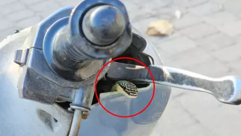 จ๊ะเอ๋ งูโผล่หน้ารถมอเตอร์ไซค์ ไม่พลาดส่องทะเบียนเสี่ยงโชค งวดแรกของปี