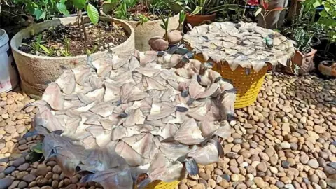 กองทุนหมู่บ้านคลองนาเกลือ คิดเอง ทำเอง บริหารเอง