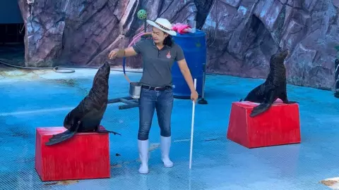 พิพิธภัณฑ์สัตว์น้ำราชมงคลตรัง เปิดแล้ว นร.กว่า 3 พันคนแห่ชมโชว์แมวน้ำคึกคัก 