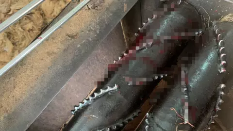 หวิดขาด เครื่องปอกมะพร้าวดูด 2 คนงานมือติด-ถูกบดสยอง จนท.ช่วยระทึก (คลิป)