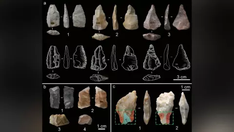 ไขความกระจ่างวัฒนธรรมทางวัตถุขั้นสูงอายุ 45,000 ปี