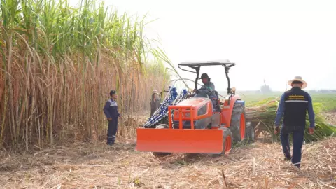 เกษตรเขต 2 หนุนลดการเผาพื้นที่เกษตร ปี67 พร้อมสาธิตการใช้ประโยชน์เศษวัสดุ