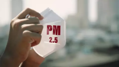 พบฝุ่น PM 2.5 เสี่ยงกระดูกพรุนในหนูทดลอง