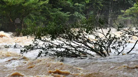 ฝนถล่ม 3 วัน "พัทลุง" อ่วม น้ำเขาบรรทัดไหลเข้าซ้ำ ท่วมบ้าน ถนนถูกตัดขาด