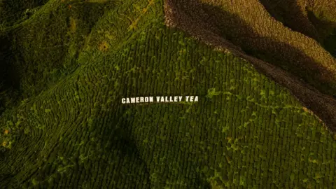 ดินถล่มคาเมรอน ไฮแลนด์ แหล่งท่องเที่ยวชื่อดังมาเลย์ ดับ 1 ถูกฝังทั้งเป็นอีก 4