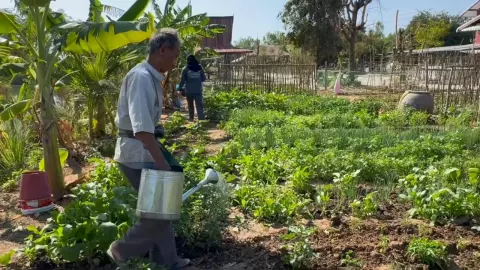ชาวบ้านที่มหาสารคาม ใช้ที่ริมหนองน้ำปลูกผัก มีกินตลอดปี แบ่งปันเพื่อนบ้านได้ (คลิป)