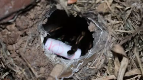 คอหวยมาตามวิถีความเชื่อ ส่อง "เลขเด็ด" เสี่ยงทายพญาบึ้ง งวด 1/2/67 