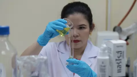 เภสัช มช. เจ๋ง สกัดสารจากข้าวพันธุ์พื้นเมือง กระตุ้นผมงอกใหม่ได้ 80%