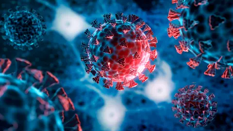 พบโอมิครอนกลายพันธุ์ สายพันธุ์ใหม่ "BA.2.X" อาจระบาดแข่งกับ JN.1 