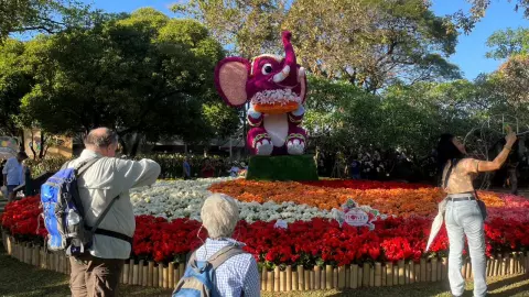 เหลือ 3 วัน งานไม้ดอกไม้ประดับหนองบวกหาด จัดยิ่งใหญ่มีให้ชมกว่า 100 สายพันธุ์