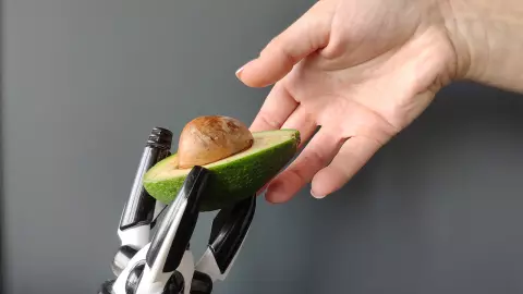 หุ่นยนต์อะโวคาโดนำทางผ่านยอดไม้