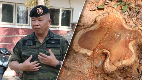 เชือดอีก "7 ข้าราชการ" โดน ม.149, 157 เซ่นตัดไม้พะยูงที่ราชพัสดุ