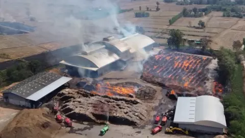 ไฟไหม้กองไม้ยูคาฯ ที่สุรินทร์ ลามเข้าตัวโรงงาน คาดเสียหายนับสิบล้าน 