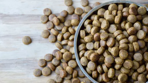 พาณิชย์เดินหน้าสร้างสมดุลอาหารสัตว์  จี้ผู้ผลิตซื้อข้าวโพดในประเทศก่อนนำเข้า