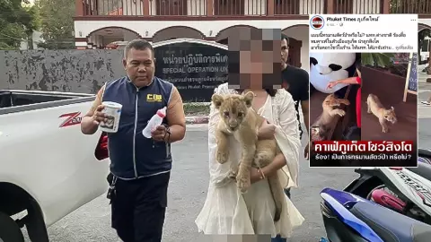 ปทส.บุกยึดลูกสิงโตโชว์คาเฟ่เมืองภูเก็ต หลังมีผู้ร้องเรียนทรมานสัตว์หรือไม่