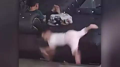 หนูน้อยตกจากโซฟา หน้าผากช้ำ แม่ย้อนกล้องดู เจอเหมือนถูกกระชาก (คลิป)