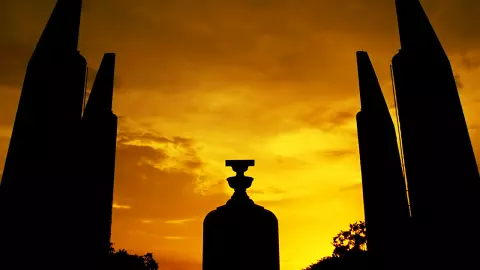 ขอวุฒิภาวะประชาธิปไตย