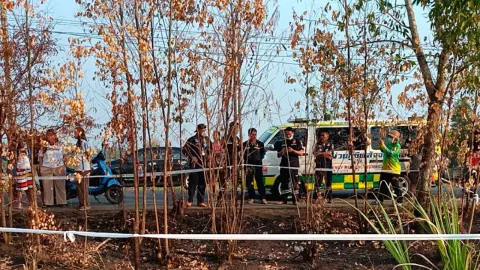 "ช้างเขาอ่างฤาไนดุ" กระทืบคนหาปลา ดับสยองคาไร่อ้อย