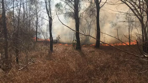 ไฟป่าเผาเทือกเขาภูแลนคา ลุกไหม้วอดหนักในรอบ 10 ปี เสียหายแล้ว 1 พันไร่ (คลิป)