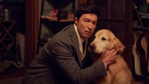 "DOG DAYS ด็อกเดย์ สี่ขาว้าวุ่น" หนังเกาหลีชวนอมยิ้ม คนรักน้องหมาห้ามพลาด