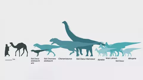 ไดโนเสาร์ปากเป็ดมาแอฟริกาได้อย่างไร