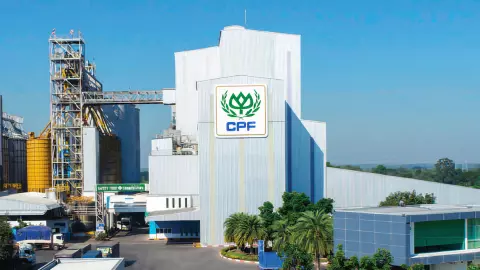 CPF ขาดทุน 5.2 พันล้าน ราคาหมูตกต่ำ ต้นทุนพุ่ง ประกาศงดจ่ายปันผล