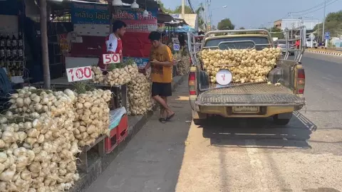 มันแกวหวานงานพระธาตุพนมยอดขายลด คนเน้นทำบุญไม่ซื้อของ กระทบเศรษฐกิจท้องถิ่น