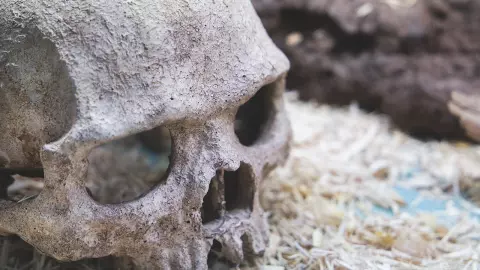 ตำนานอาหารเน่าอร่อย