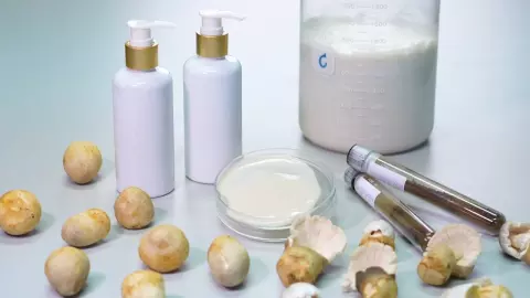 กรมวิชาการเกษตร เพิ่มมูลค่าเห็ดฟาง นำมาสกัดสารโปรตีนเป็นวัตถุดิบโลชั่นบำรุงผิว