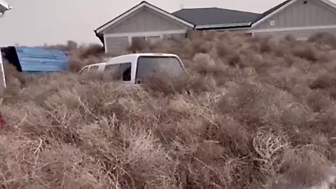 ก้อนวัชพืชบุกรัฐยูทาห์ ปิดกั้นเส้นทาง กองเต็มลานบ้านเดือดร้อนหนัก (คลิป)