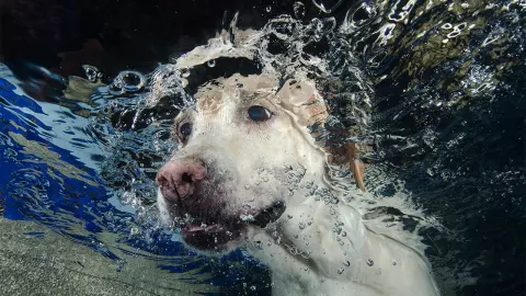 จะเหมือนไปไหน