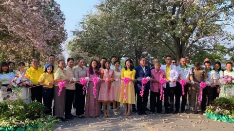 ชวนมาดู "เทศกาลชมพูพันธุ์ทิพย์" บานสะพรั่งที่ ม.เกษตรฯ กำแพงแสน 4-10 มี.ค. 67