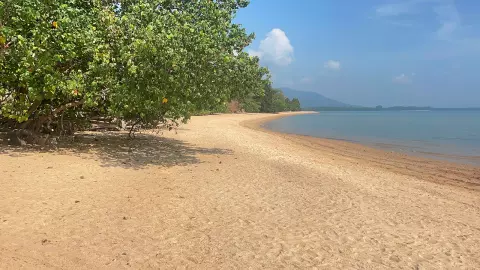 กวาดจับต่างชาติ ทำธุรกิจมืดภูเก็ต สอบวิลล่าฝรั่งกร่าง สร้างปิดทางลงหาด พญ.ขอบคุณกำลังใจ