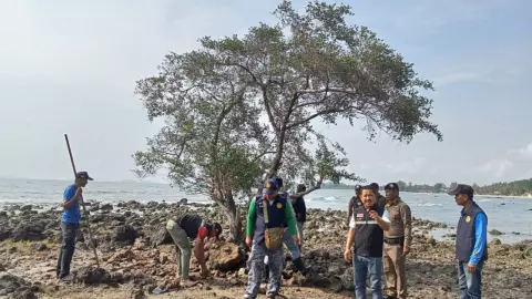 ลอบขุด "ต้นเทียนทะเล" อายุกว่า 100 ปี เกลี้ยงหาด คาดเอาไปขายนักเล่นบอนไซ