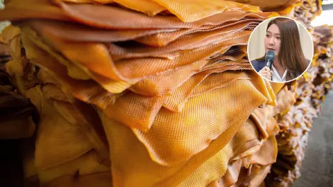 โฆษกเกษตรฯ ชี้ราคายางทะลุ 80 บาท มากสุดในรอบ 41 เดือน ตามนโยบาย รบ.เศรษฐา