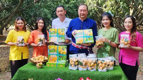 อบจ.พิจิตร จัดงาน "มหกรรมของดีเมืองพิจิตร 67" ชวนคนไทยกินผลไม้กระตุ้นเศรษฐกิจ