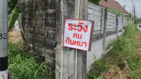 ติดป้ายทั่วหมู่บ้าน "ระวังคนกินหมา" หลังสุนัขหายร่วม 40 ตัว