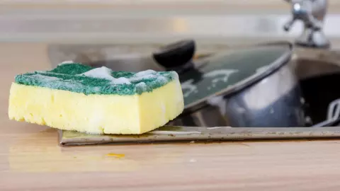 อ.เจษฎ์ เผย "ฟองน้ำล้างจาน" คือแหล่งสะสมเชื้อโรค แนะควรเปลี่ยนทุกเดือน