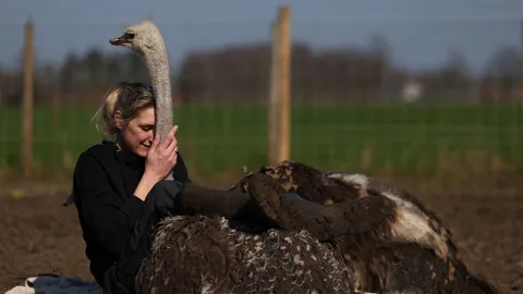 กอดนกนักบำบัด