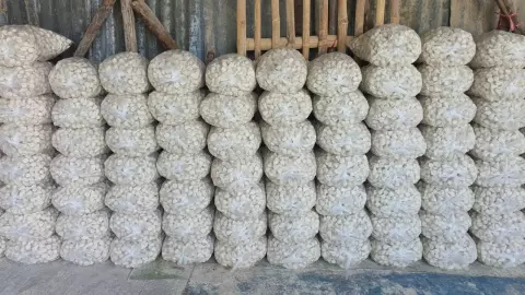 ดินสอพองลพบุรี ออเดอร์ล้นก่อนสงกรานต์ 60 ลาน ผลิตไม่ทัน ราคาพุ่งหลังฟุบมานาน