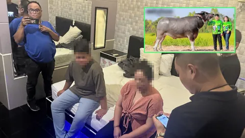 ควายฟอกเงิน 