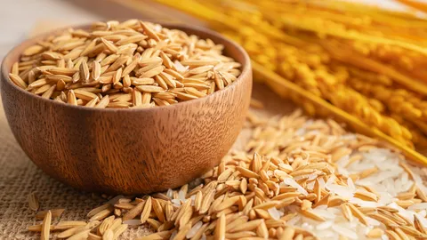 ทำนายฝันเห็นข้าวเปลือก ข้าวเปลือกเต็มบ้าน สื่อความหมายว่าอย่างไร