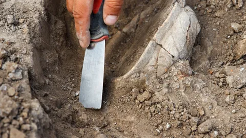 กรมศิลป์เปิดให้ ปชช.ร่วมขุดค้น ศึกษาโบราณคดี “วัดจักรวรรดิ” เพื่อรักษาศาสนสมบัติ