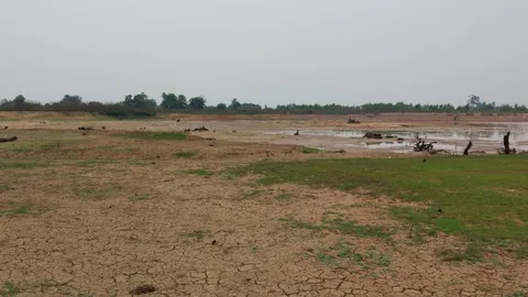 เอลนีโญทำสุรินทร์เจอภัยแล้งเร็ว ผู้ว่าฯ ยันมีแผนหาแหล่งน้ำสำรองและรับมือไฟป่า