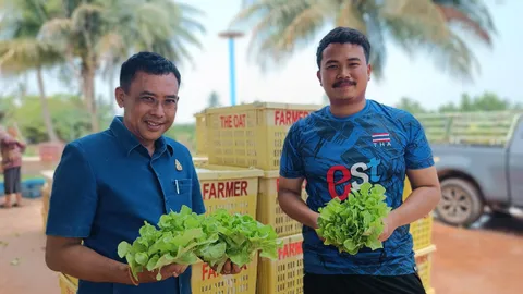 อดีตหนุ่มแบงก์ใจรักทำเกษตร ลาออกทำฟาร์มผักสลัดอินทรีย์ ขายได้หลักแสนต่อเดือน