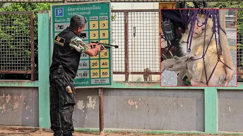 สยบหัวโจก