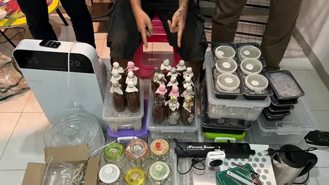 รวบหนุ่มจบสถาปัตย์ เอาดีทางผลิตเห็ดขี้ควายขาย ตั้งชื่อ วิมุตติ