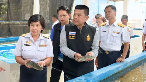 กรมประมงพัฒนาปลิงขาวเกาะยาว ดันเป็น 1 ท้องถิ่น 1 สินค้าเกษตรมูลค่าสูงพังงา