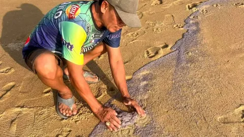 กุ้งเคยนับล้านตายเกลื่อนหาดไม้ขาว ภูเก็ต เชื่อธรรมชาติเตือนภัย