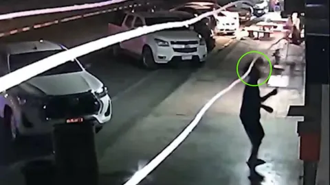 เกเรไม่เลิก ลิงลพบุรีโดดเกาะหัว ด.ช. 13 แย่งบาร์บีคิว สมุนช่วยรุม  